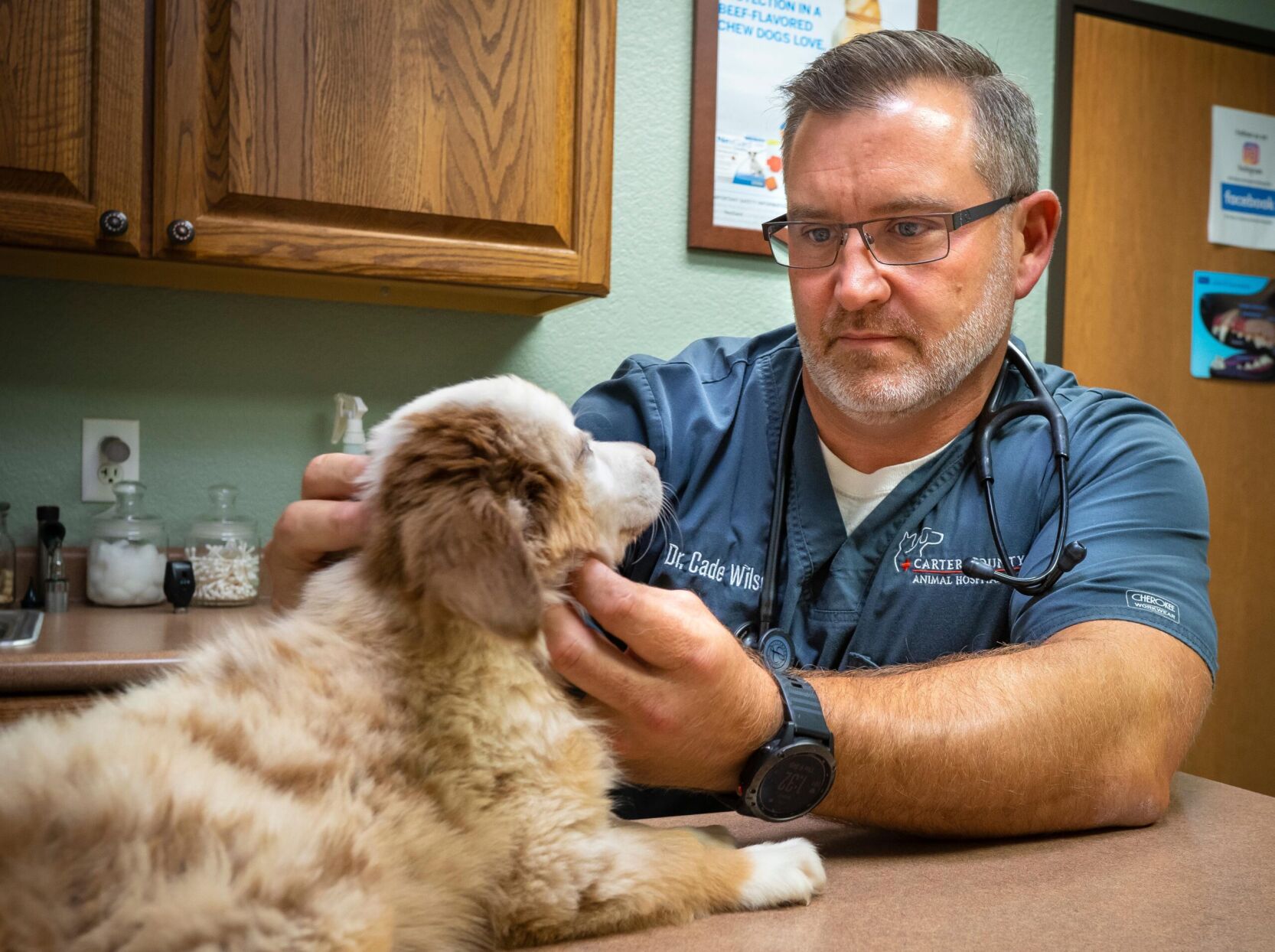 Carter County Animal Hospital in Ardmore Ok.